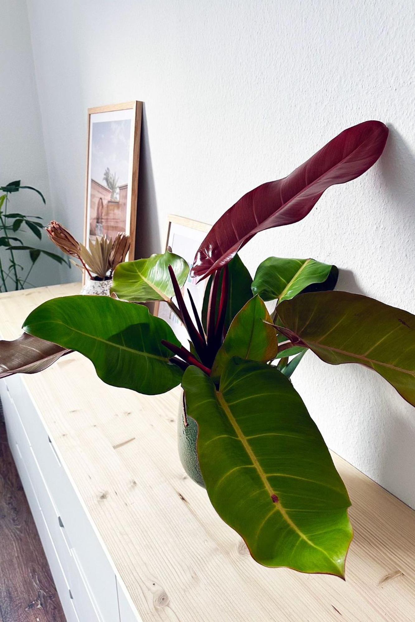 Business & Leisure Apartment Ingolstadt Dış mekan fotoğraf