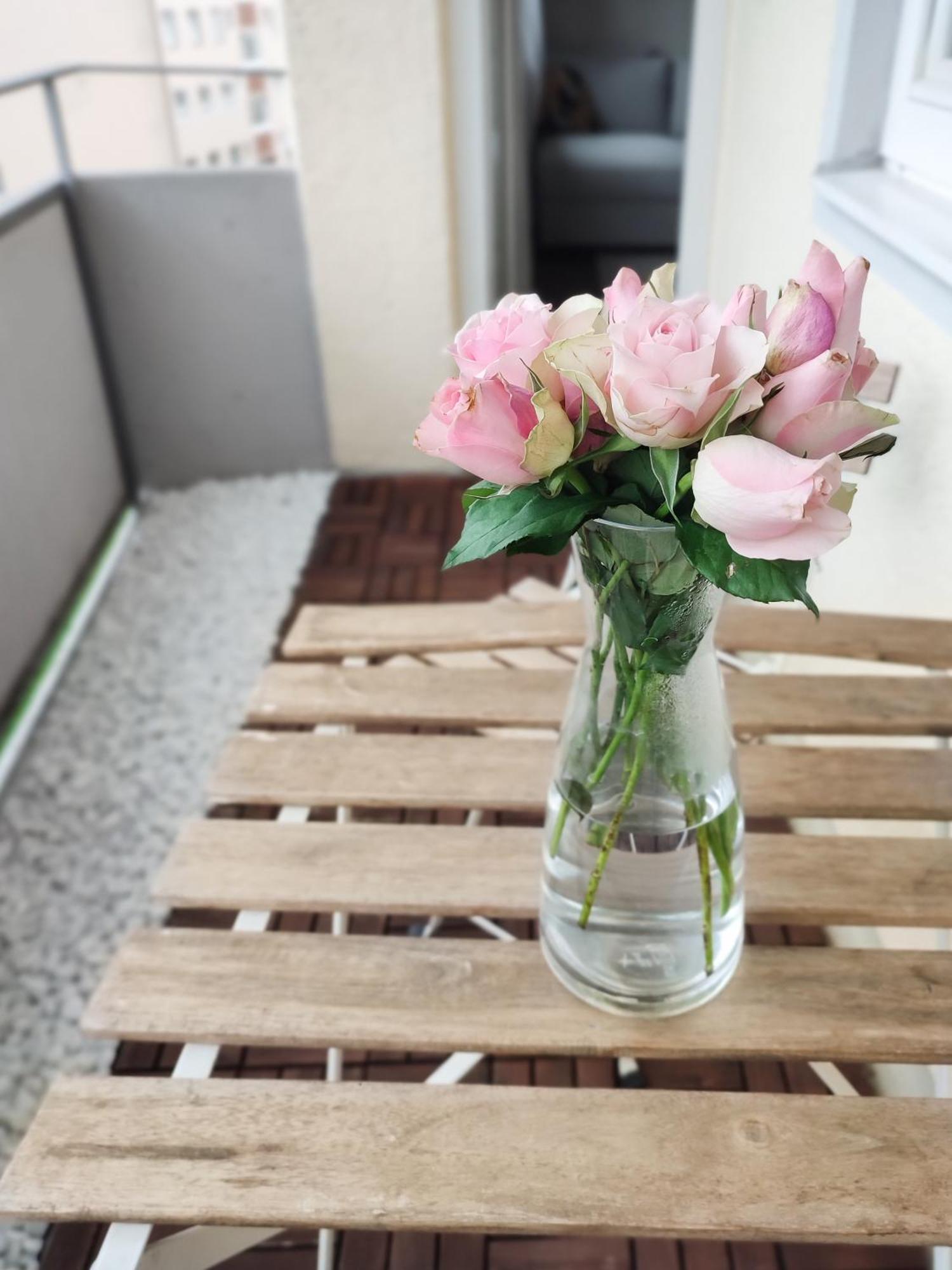 Business & Leisure Apartment Ingolstadt Dış mekan fotoğraf