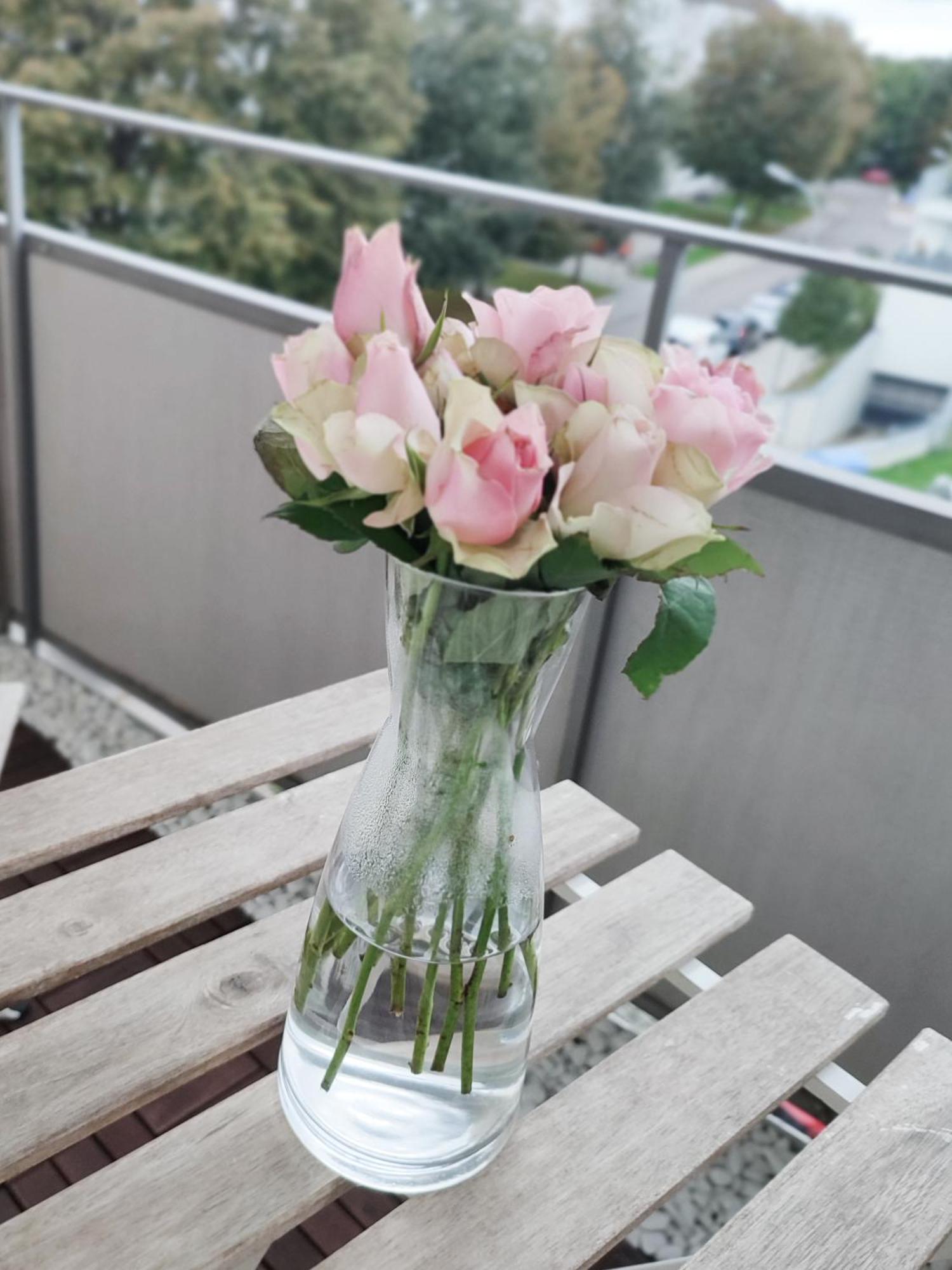 Business & Leisure Apartment Ingolstadt Dış mekan fotoğraf